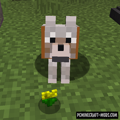 Bee Barker Mod For Minecraft 1.12.2, 1.10.2, 1.8  PC Java 