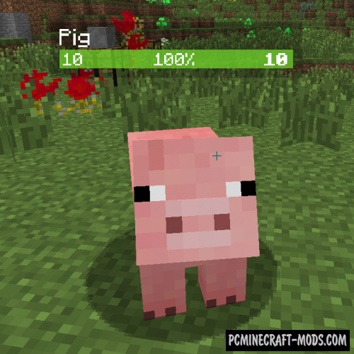 Neat - Health HUD Mod For Minecraft 1.20.1, 1.19.4, 1.16.5, 1.12.2