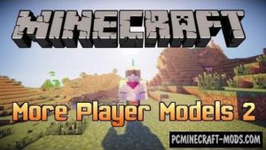 Что такое skin url для майнкрафт в player models 2