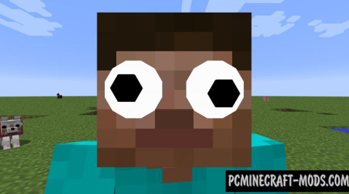 GooglyEyes - Skin Decor Mod Minecraft 1.16.5, 1.12.2