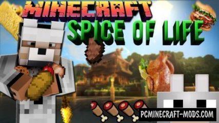 The Spice of Life - Food Mod 1.16.4, 1.12.2, 1.8.9, 1.7.10