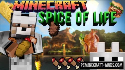 The Spice of Life - Food Mod 1.16.4, 1.12.2, 1.8.9, 1.7.10