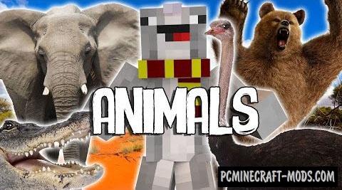 Mo' Creatures Command Block For Minecraft 1.10, 1.9.4