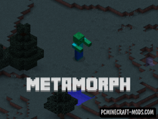 Metamorph - Morph Mod For Minecraft 1.12.2