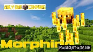 Morphing Command Block For Minecraft 1.10.2, 1.10