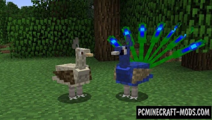 Exotic Birds - New Creatures Mod For Minecraft 1.19.3, 1.18.2, 1.16.5, 1.12.2
