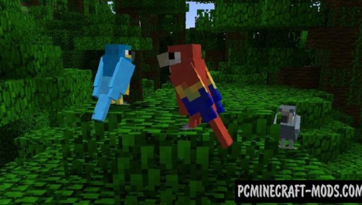 Exotic Birds - New Creatures Mod For Minecraft 1.18.2, 1.16.5, 1.12.2