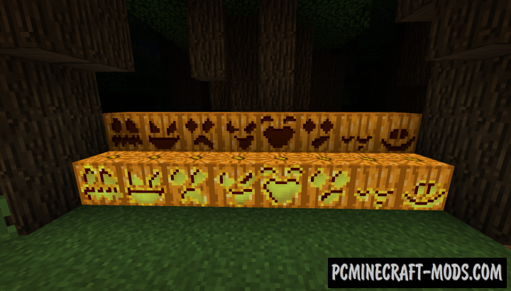 Pumpkin Carving - Decor Tweak Mod For Minecraft 1.12.2