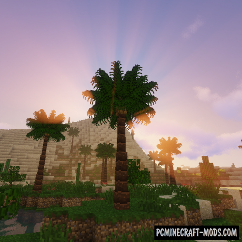 Dynamic Trees BOP Compat Mod For Minecraft 1.12.2  PC 