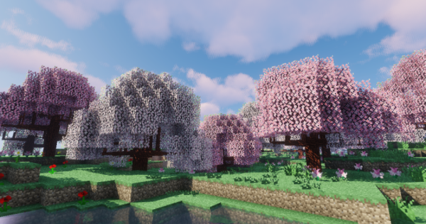 Dynamic Trees BOP Compat Mod For Minecraft 1.12.2 PC 