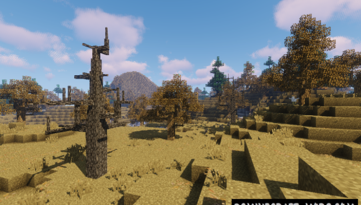 Dynamic Trees BOP Compat - Tweak Mod For Minecraft 1.12.2