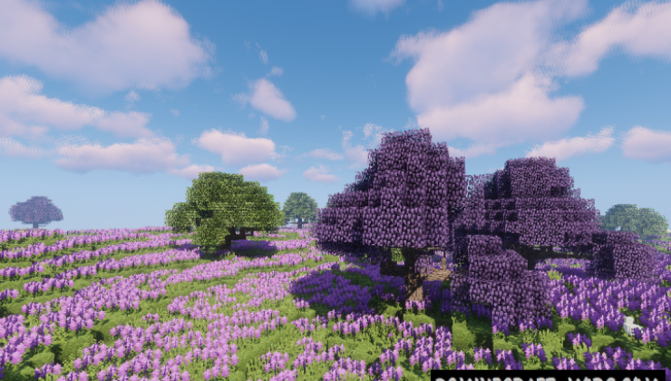 Dynamic Trees BOP Compat - Tweak Mod For Minecraft 1.12.2