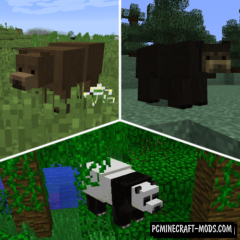Bear With Me - Creatures Mod For MC 1.12.2, 1.11.2, 1.10.2