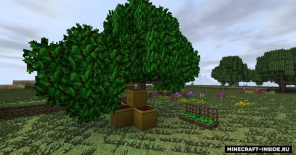 Dynamic Trees - Heat and Climate Compat Mod For Minecraft 