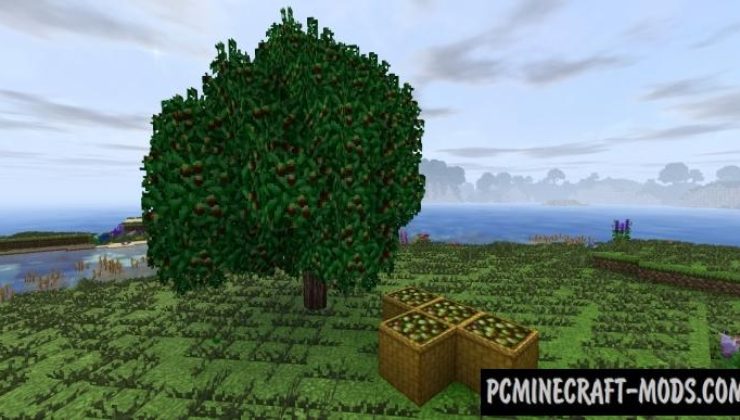 Dynamic Trees - Heat and Climate Compat Mod For Minecraft 1.12.2