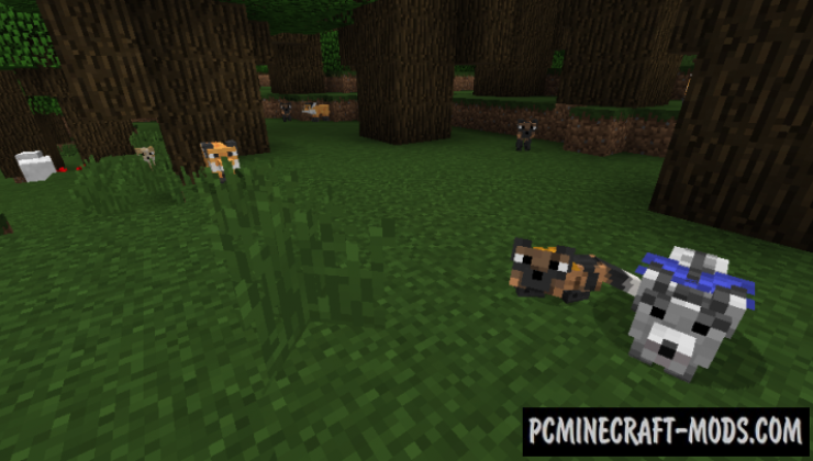 Outfox - New Creature Mod For Minecraft 1.12.2