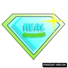 RealSurvivor - Info HUD Mod For Minecraft 1.17.1, 1.16.5, 1.12.2