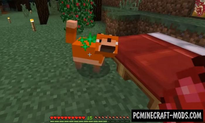 Biome Chooser Minecon 2018 Minecraft PE Addon 1.11, 1.10 