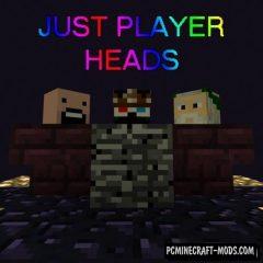 Just Player Heads - Tweak Mod For Minecraft 1.20.2, 1.19.4, 1.19.3, 1.16.5