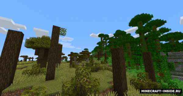 The Biome Overhaul Mod For Minecraft 1.14  PC Java Mods 