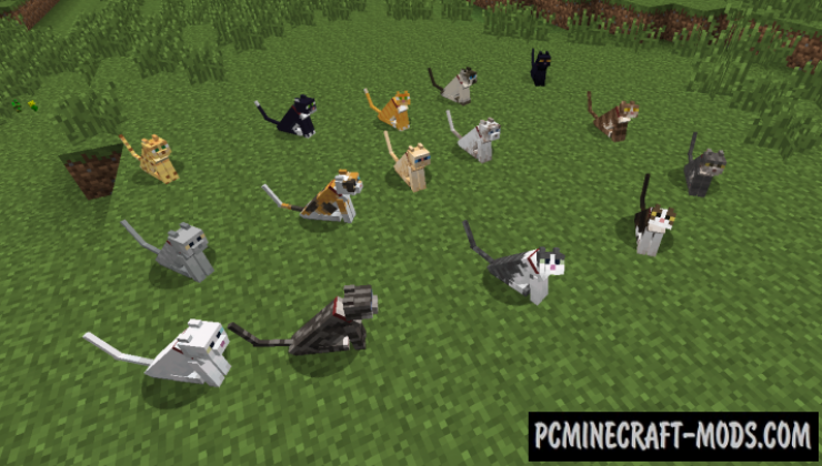 Not Enough Cats - Creatures Mod For Minecraft 1.12.2