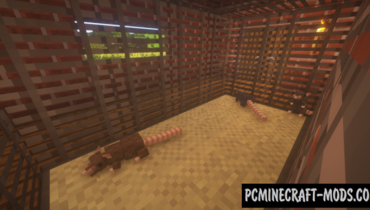Rats - Creatures Mod For Minecraft 1.16.5, 1.16.4, 1.12.2