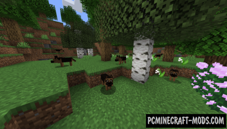 More Dogs - New Creatures Mod For Minecraft 1.15.2, 1.14.4