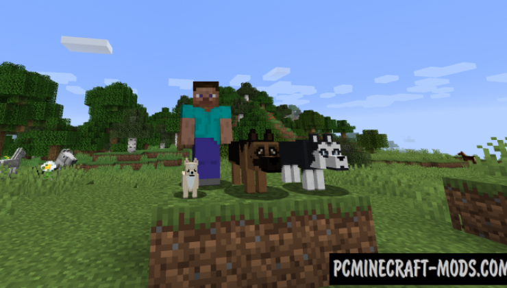 More Dogs - New Creatures Mod For Minecraft 1.15.2, 1.14.4