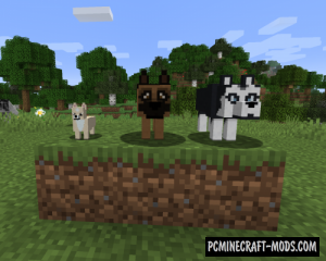 More Dogs - New Creatures Mod For Minecraft 1.15.2, 1.14.4