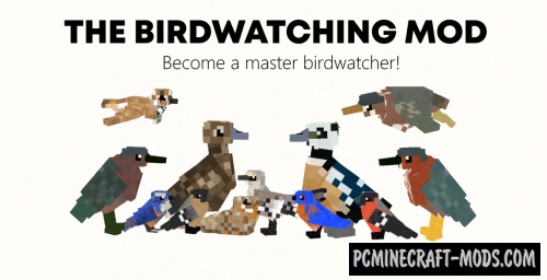 The Birdwatching Creatures Mod For Minecraft 1 12 2 Pc Java Mods