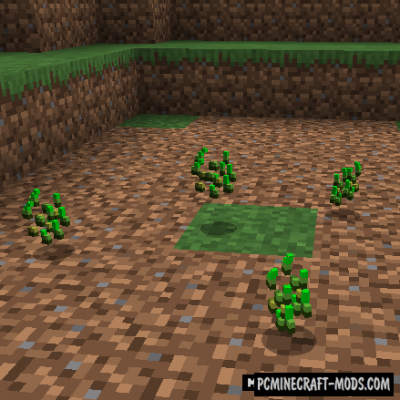 Grass Seeds Tweak Mod For Minecraft 1 17 1 1 16 5 1 12 2 Pc Java Mods