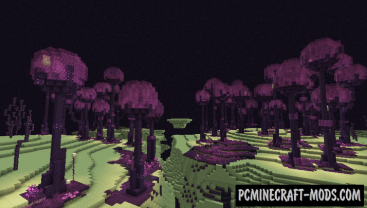The Endergetic Expansion - Biome Mod For MC 1.16.5, 1.16.4