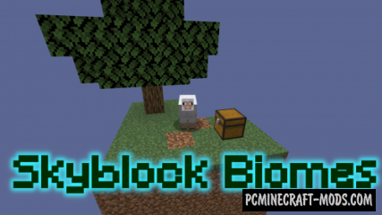 SkyBlock Biomes - Survival Map For Minecraft