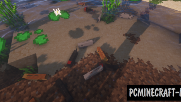 Enchanced Biome: River & Pond Resource Pack 1.15.2, 1.14.4