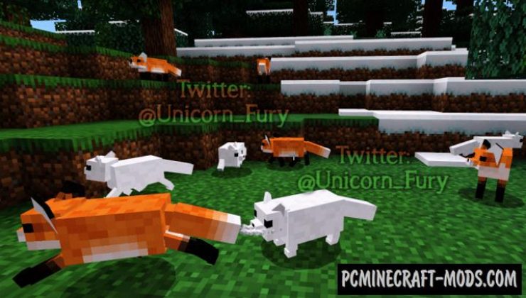Cuter Vanilla Foxes Addon For Minecraft Bedrock 1.18.12, 1.17
