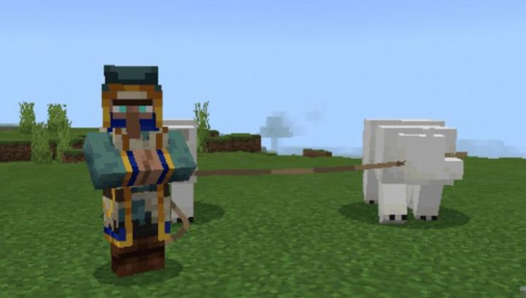 More Trader Mobs Addon For Minecraft 1.18.12, 1.17