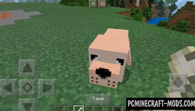Dogs Addon For Minecraft PE 1.18.12, 1.17.40 iOS/Android