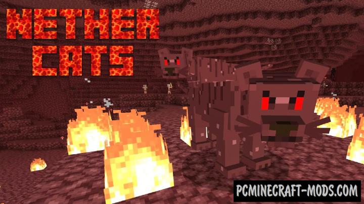 NetherCats Addon For Minecraft 1.18.12 iOS/Android