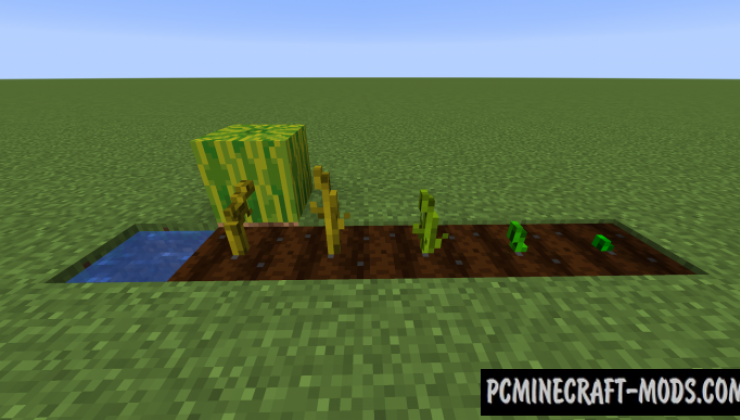 Crops 3D Resource Pack For Minecraft 1.15.2, 1.14.4