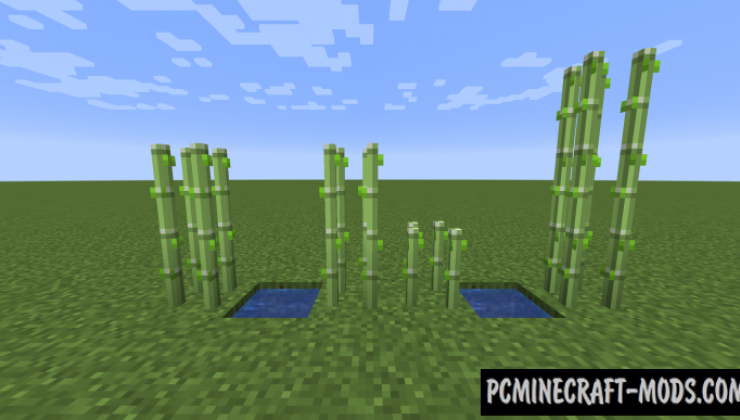 Crops 3D Resource Pack For Minecraft 1.15.2, 1.14.4