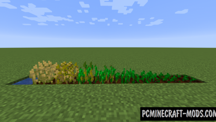 Crops 3D Resource Pack For Minecraft 1.15.2, 1.14.4