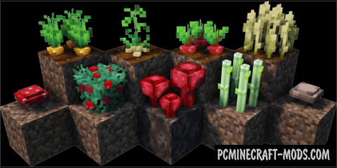 Crops 3D Resource Pack For Minecraft 1.15.2, 1.14.4