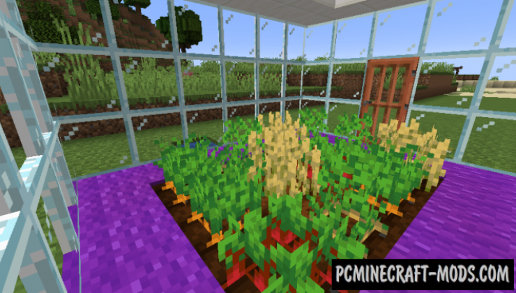 Pane In The Glass - Decor Mod For Minecraft 1.19.3, 1.18.1, 1.16.5