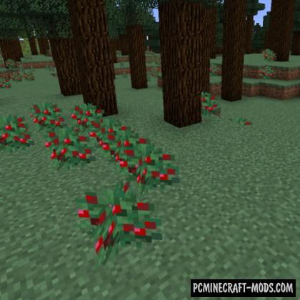 Vanilla+ New Biomes Mod For Minecraft 1.17.1, 1.16.5