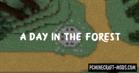 A Day in the Forest - Puzzle, Finding Map For MC