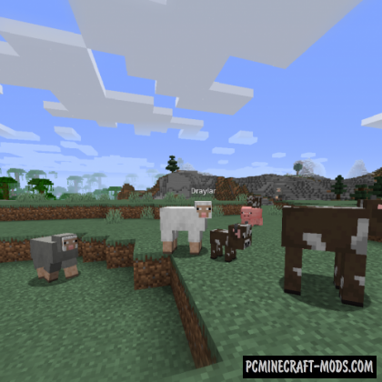 minecraft more player models 1.16.4