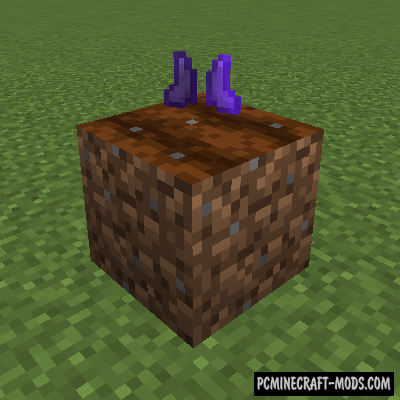 No Trample - Tweak Mod For Minecraft 1.16.5, 1.16.4