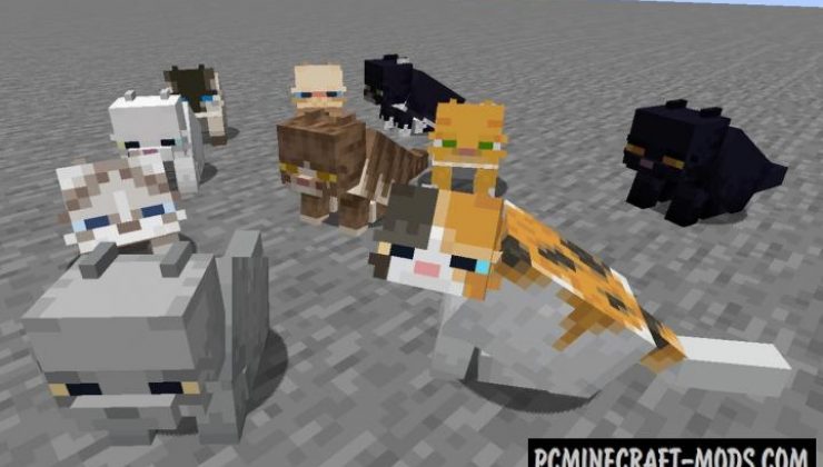 Fat Cat Mod-Resource Pack For Minecraft 1.16.5, 1.16.4, 1.14.4