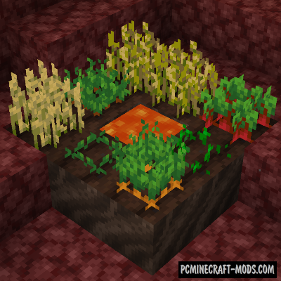 Soul Soil Farmland - Tweak Mod For Minecraft 1.16.5, 1.16.4