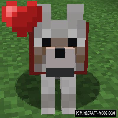 Save Your Pets - Tweak Mod For Minecraft 1.20.1, 1.19.4, 1.16.5 ...